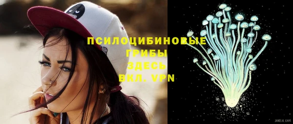 сатива Сатка